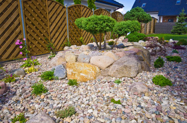 istock Making new home garden decorations, planting evergreen trees and creating decorative stone bed. Final stage. 1162577589