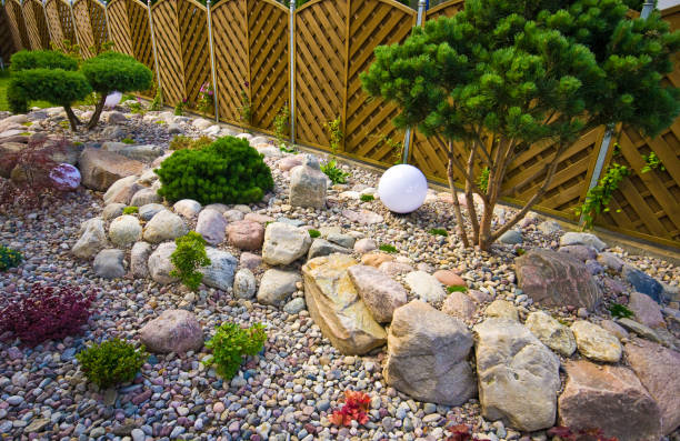 istock Making new home garden decorations, planting evergreen trees and creating decorative stone bed. Final stage. 1162577648