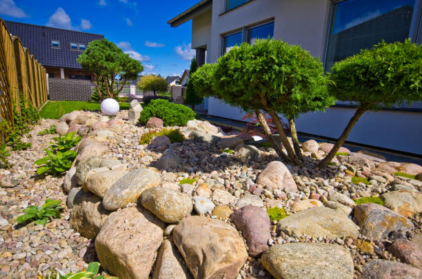 istock Making new home garden decorations, planting evergreen trees and creating decorative stone bed. Final stage. 1162577709