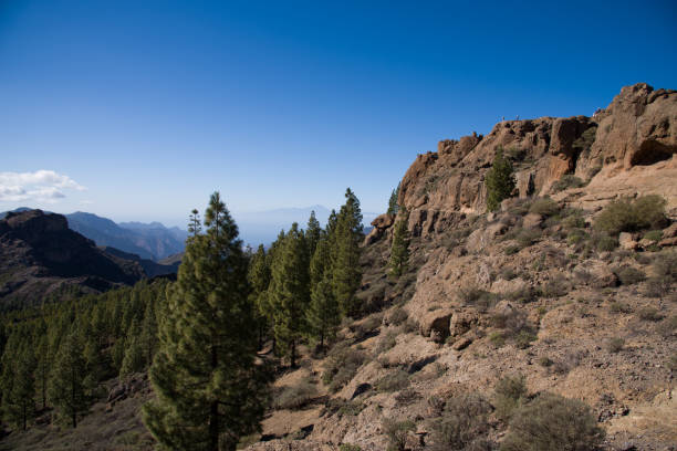 istock Viewpoint from the Roque Nublo 1162577791