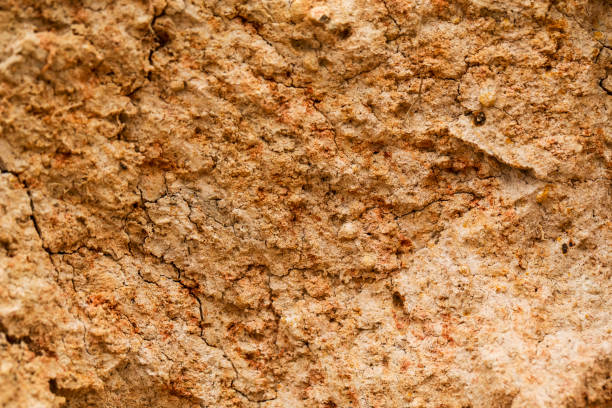istock texture, earth, background, surface, ground, nature, natural, rock, brown, soil, pattern, rough, land, dirt, stone, geology, horizontal, environment, dry, material, abstract, backdrop, section, mud, sand, underground, gray, crust, cross, clay, orange, can 1162582901