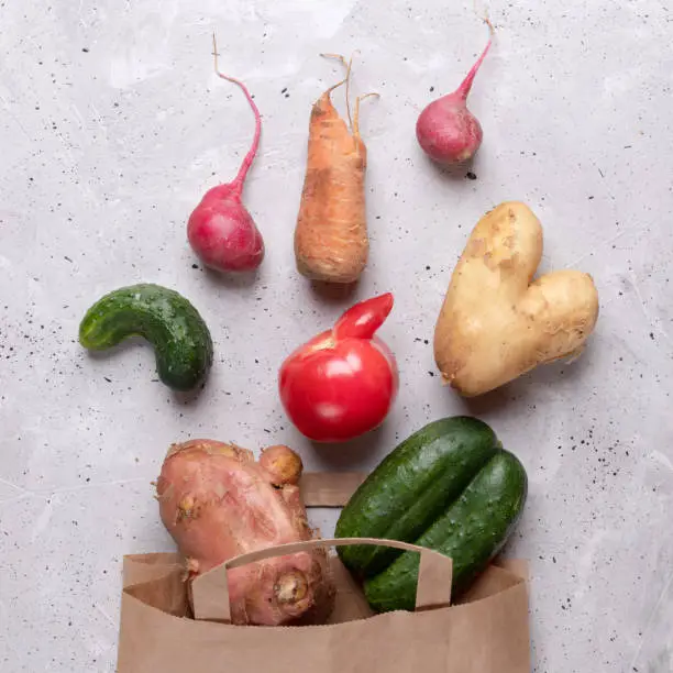 Set of ripe ugly vegetables scattered out of paper bag on grey concrete background. Waste zero concept. Top view,  flat lay. Square Photo.