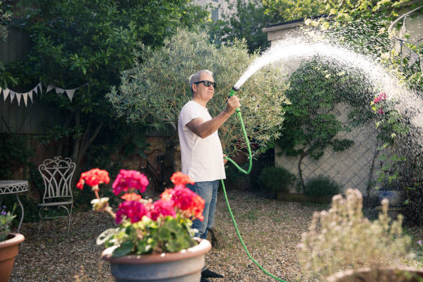 istock Watering the courtyard garden 1162584716