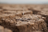 Lack of rain in season and Water crisis concept.
