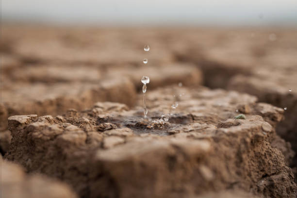 Lack of rain in season and Water crisis concept. Water drop to dry cracked land metaphor lack of rain, water crisis, Climate change and Environmental disaster dry stock pictures, royalty-free photos & images