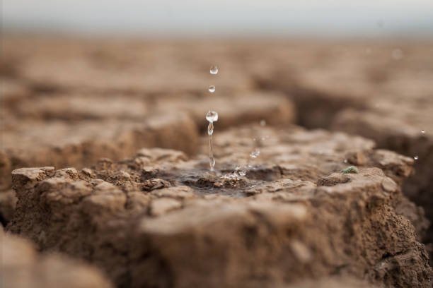 Lack of rain in season and Water crisis concept. Water drop to dry cracked land metaphor lack of rain, water crisis, Climate change and Environmental disaster arid stock pictures, royalty-free photos & images