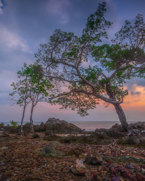 istock Wonderful Panorama at barelang batam Island 1162585767