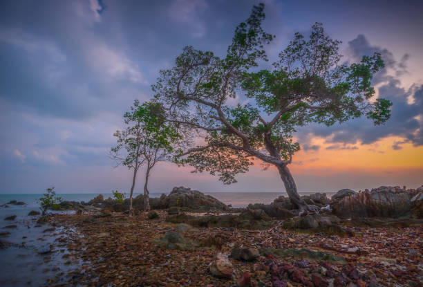 istock Wonderful Panorama at barelang batam Island 1162585828