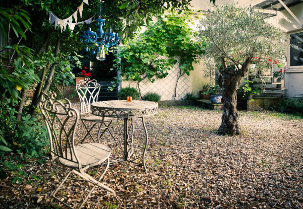 istock French style courtyard garden with olive tree 1162586212