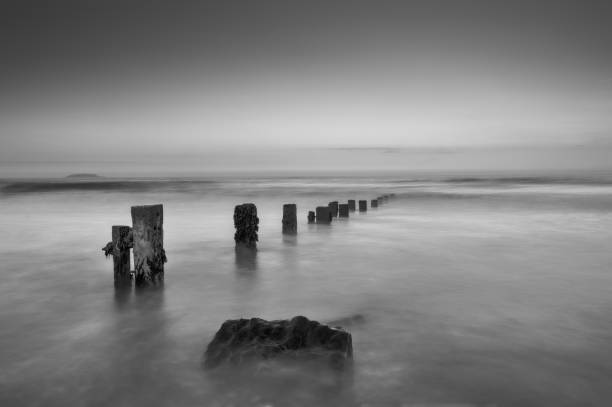 istock Groynes and a Rock in Black and White 1162587312
