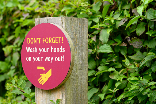 Don't forget wash your hands on your way out sign mounted on wooden post with green leafy background