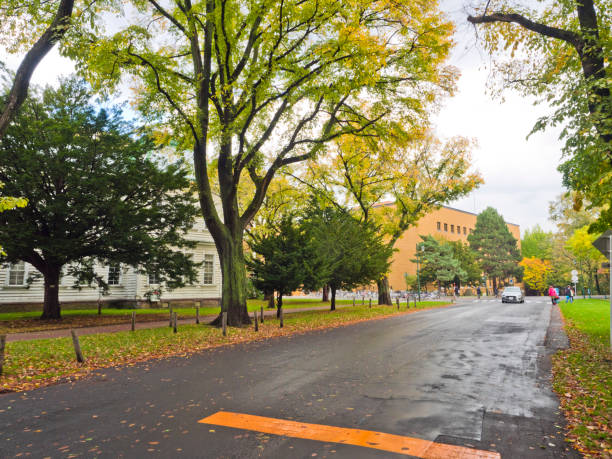 istock Hokkaido University in autumn. 1162591721