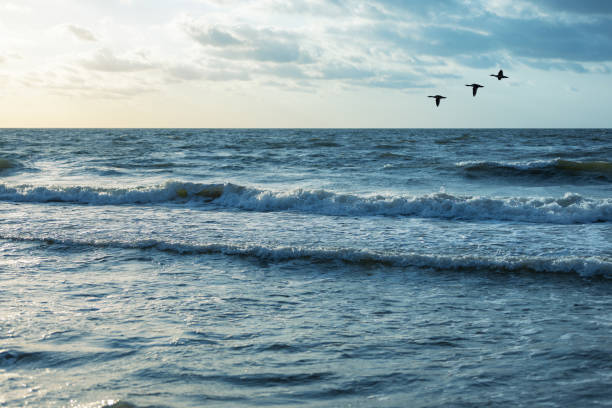 istock Baltic sea and sunny sky 1162591884