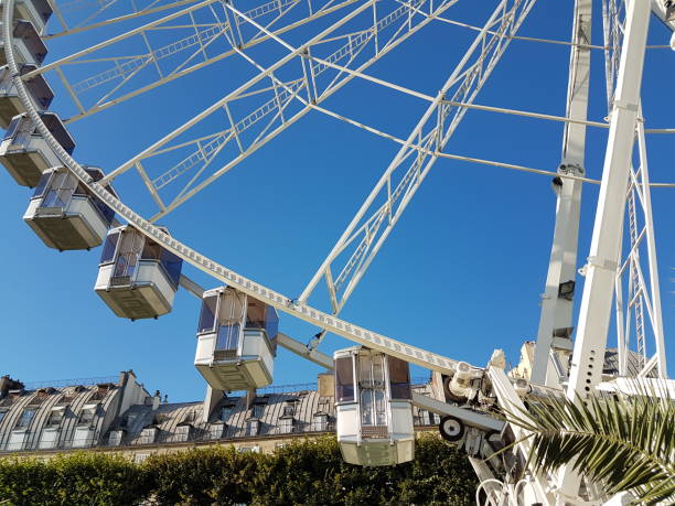 istock The Tuileries Garden in summer 2019 - Paris 1162596335