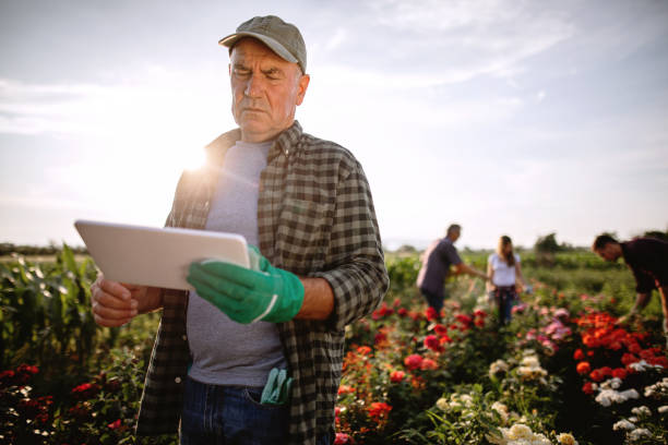 istock Senior man surfing the web on his tablet while standing in his flower field 1162599697