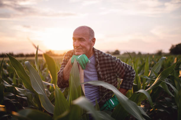 Retired man nostalgic about his younger days