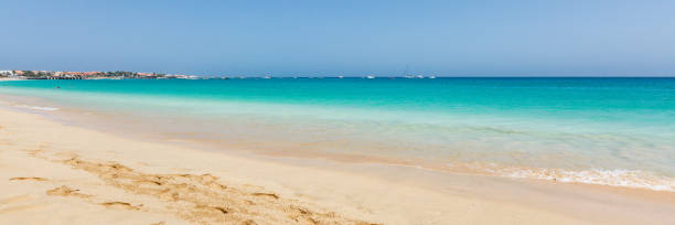 istock Paradise beach and ocean, panorama 1162600997