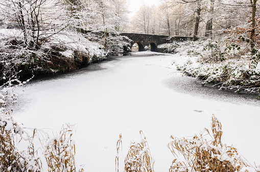 Minnowburn River, Belfast, frozen and covered in snow
