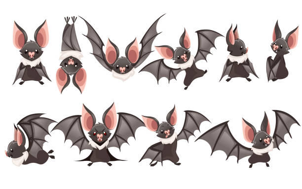 4,062 Bat Teeth Stock Photos, Pictures & Royalty-Free Images - iStock | Bat  face