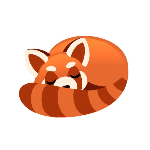 Vector illustration of Cute adorable red panda sleeping cartoon design animal character flat vector style illustration on white background