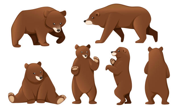 bildbanksillustrationer, clip art samt tecknat material och ikoner med uppsättning av grizzlybjörnar. nordamerika djur, brunbjörn. tecknad djur design. platt vektor illustration isolerad på vit bakgrund - familjen brunbjörn