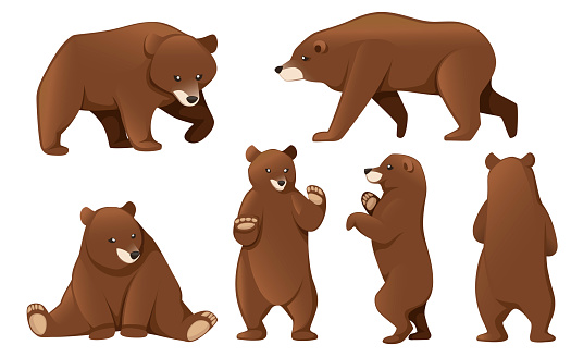 Set of Grizzly bears. North America animal, brown bear. Cartoon animal design. Flat vector illustration isolated on white background.