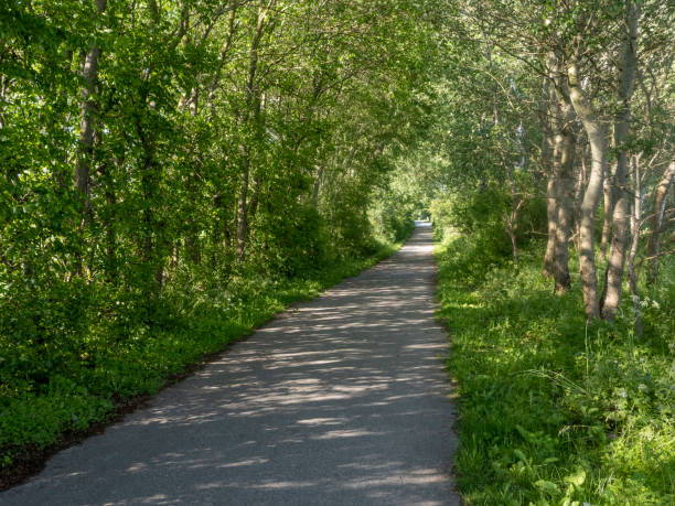 istock Field trail in spring in Schleswig-Holstein 1162604237