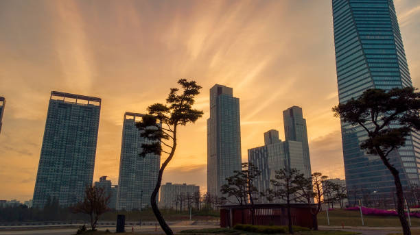 istock aerial view building skyline south korea sunrise 1162604349