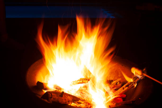 istock The bonfire that illuminates in the dark forest in Mexico 1162604487