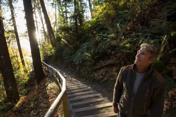 Photo of Man walks down steps through forest and into the sunlight