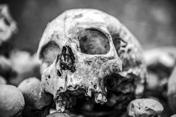 One of the over 1,000 skulls in the ossuary in St Leonard's Church, Hythe. These skulls are over 700 years old, with some dating back to Roman times.