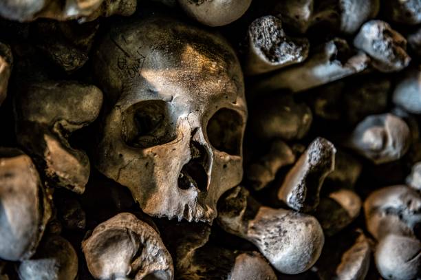 istock Skull in the Ossuary, St Leonard's Church, Hythe 1162608321