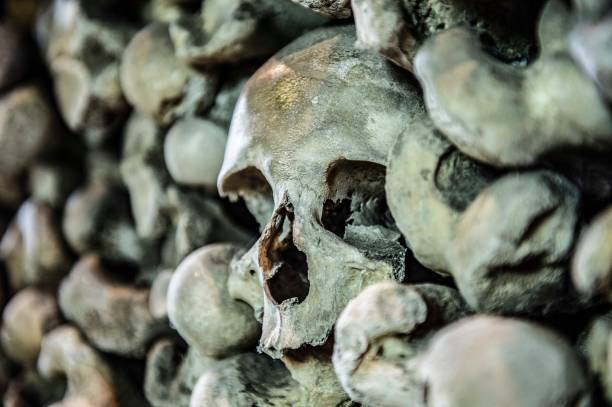 istock Skull in the Ossuary, St Leonard's Church, Hythe 1162608326