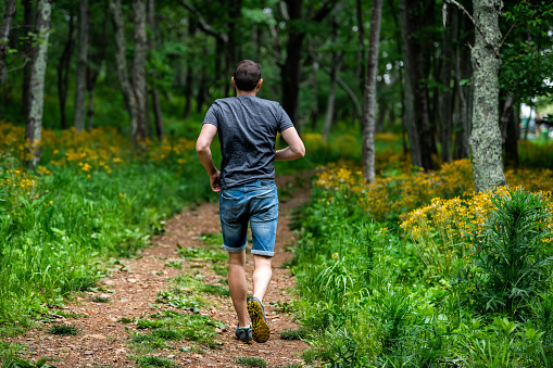 Story of the Forest nature trail in Shenandoah Blue Ridge appalachian mountains with man running by yellow flowers on path