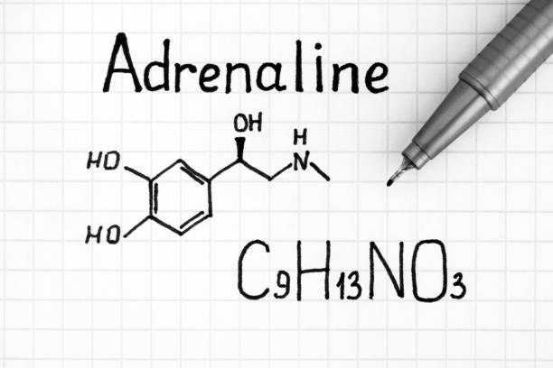 istock Handwriting Chemical formula of Adrenaline with pen. 1162611101