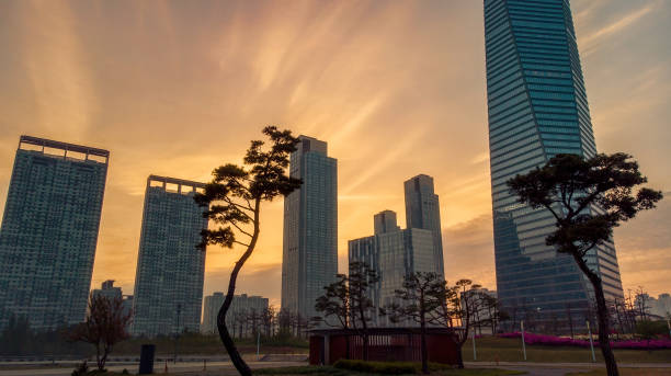 istock aerial view building skyline south korea sunrise 1162613124