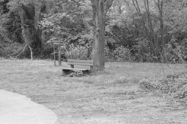 istock Isolated bench in the park under the tree (Germany, Italy) 1162616188
