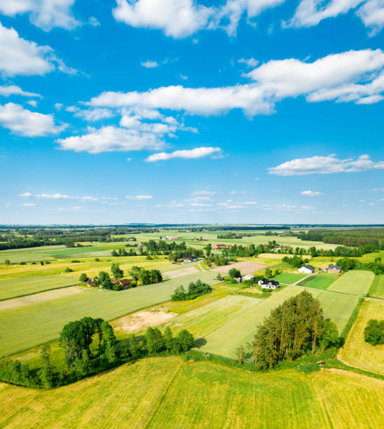 istock Lush green Polish countryside 1162618583