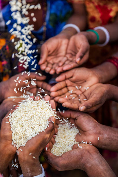 бедные индийские дети просят еды, индия - hungry child human hand india стоковые фото и изображения