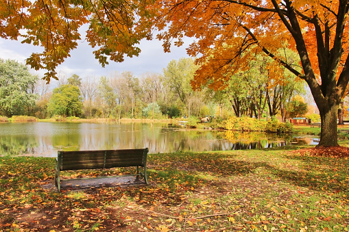 Beautiful autumn landscape with colorful trees around the pond and bench in a city park. Lakeview park, Middleton, Madison area, WI, USA.