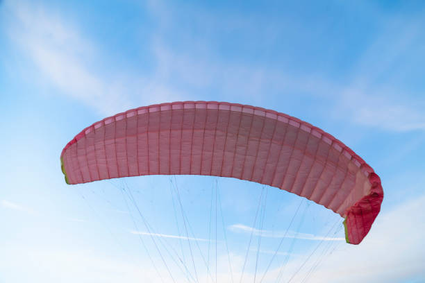 istock Pink dome of paraglider flying in blue bright sky 1162620435