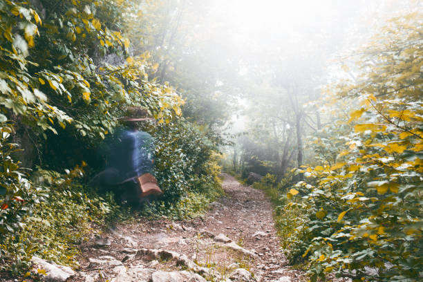 Young woman hiking in forest