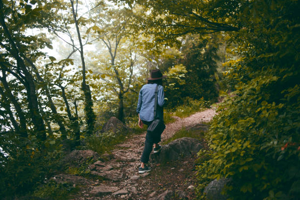 Young woman trail hiking in the forest