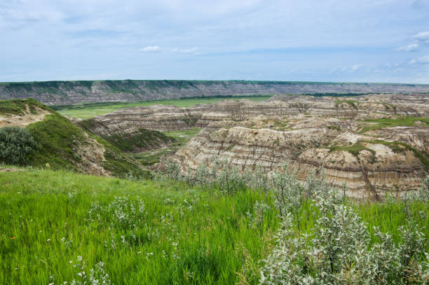 istock Horse Thief Canyon, Alberta Canada 1 1162621720