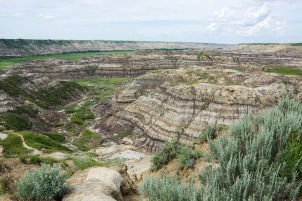 istock Horse Thief Canyon, Alberta Canada 1162621742
