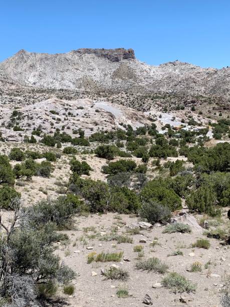 istock Rock Hounding in Utah’s Topaz desert 1162622984