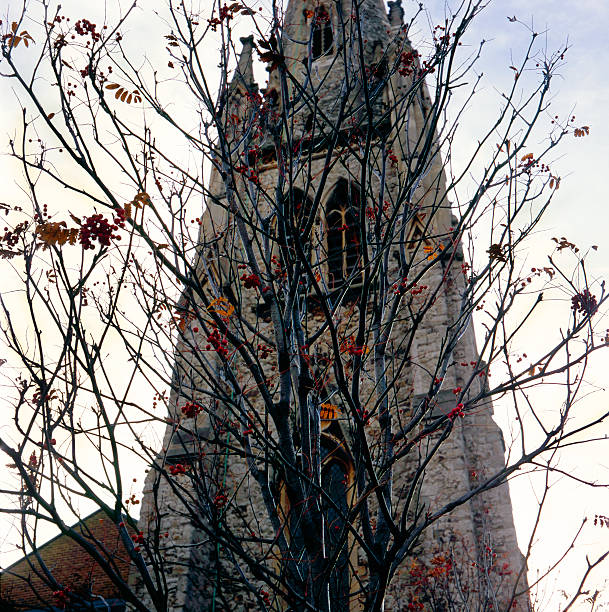 istock In front of the tower 116262360