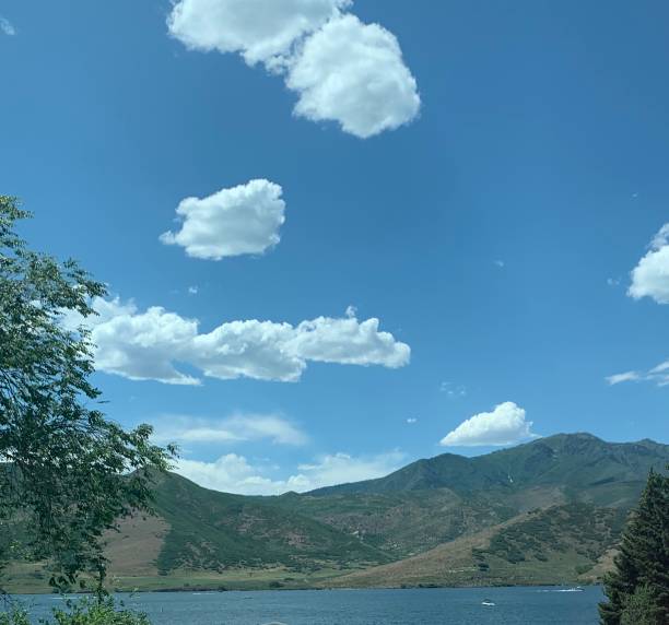 istock Summer fun at the Reservoir 1162623904