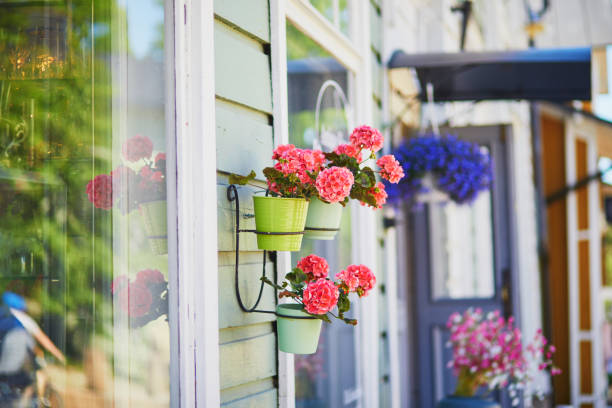 istock Flowers in full bloom on a house wall 1162625472