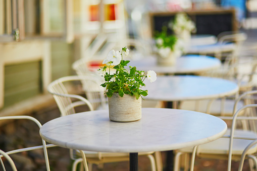 Flowers in full bloom on a table of street cafe, beautiful decoration details in Porvoo, Finland